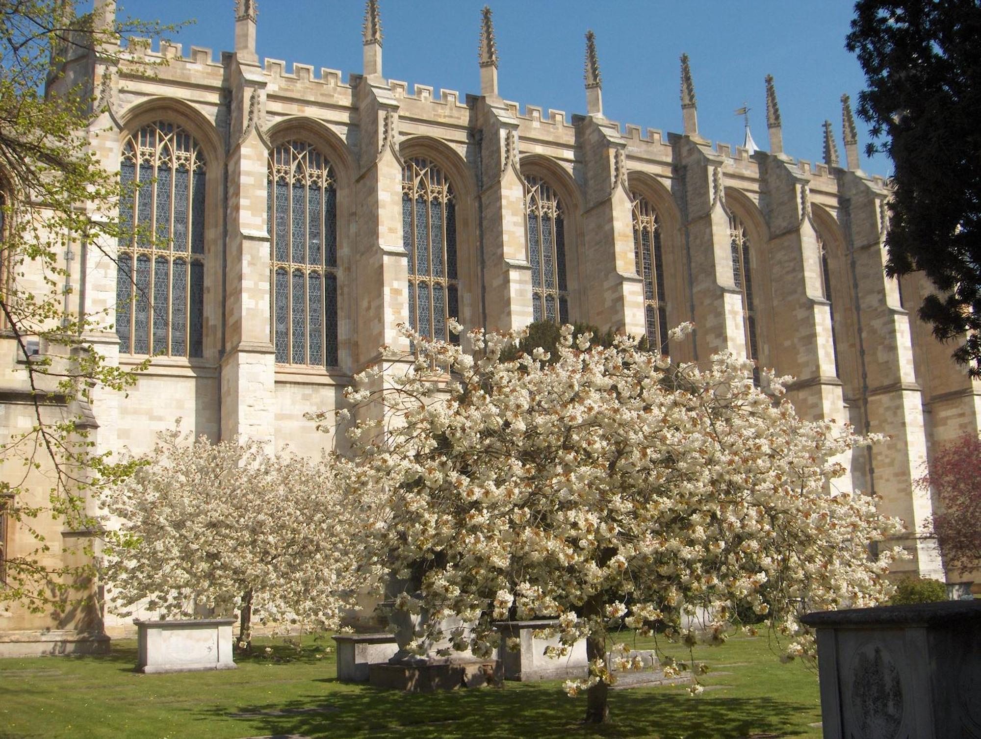 Palmer House Ground Floor With Garden Near Castle And Legoland Γουίνσδορ Εξωτερικό φωτογραφία